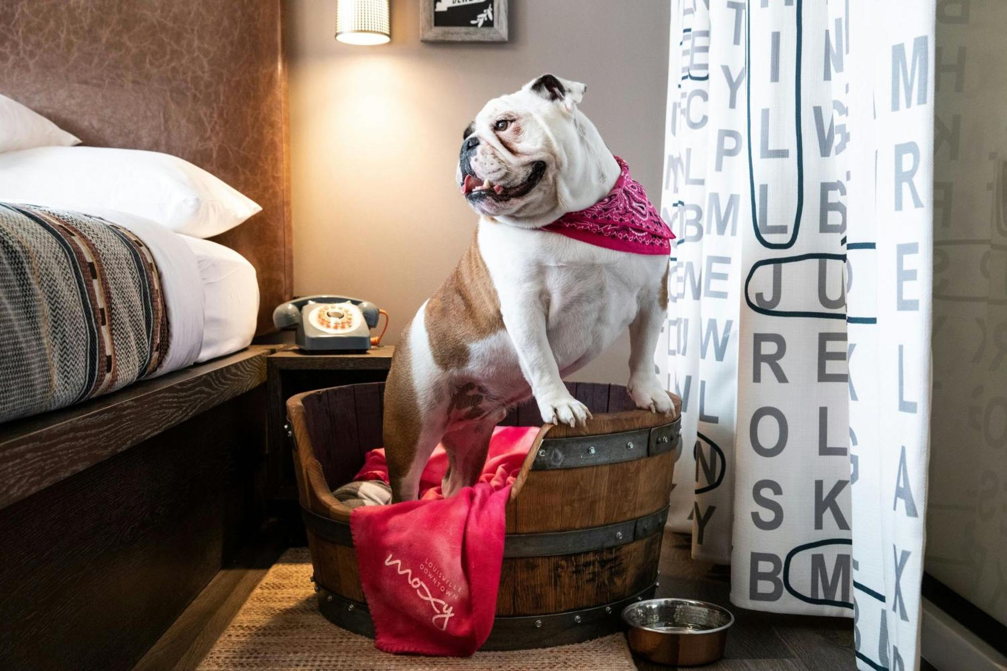 Moxy Downtown 4*